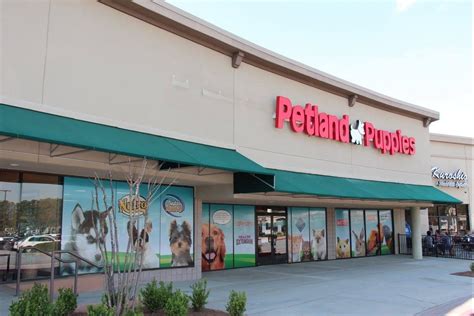 Cisneros says that in December 2015, she paid 2,400 to a Petland franchise store in Kennesaw, Ga. . Petland kennesaw ga